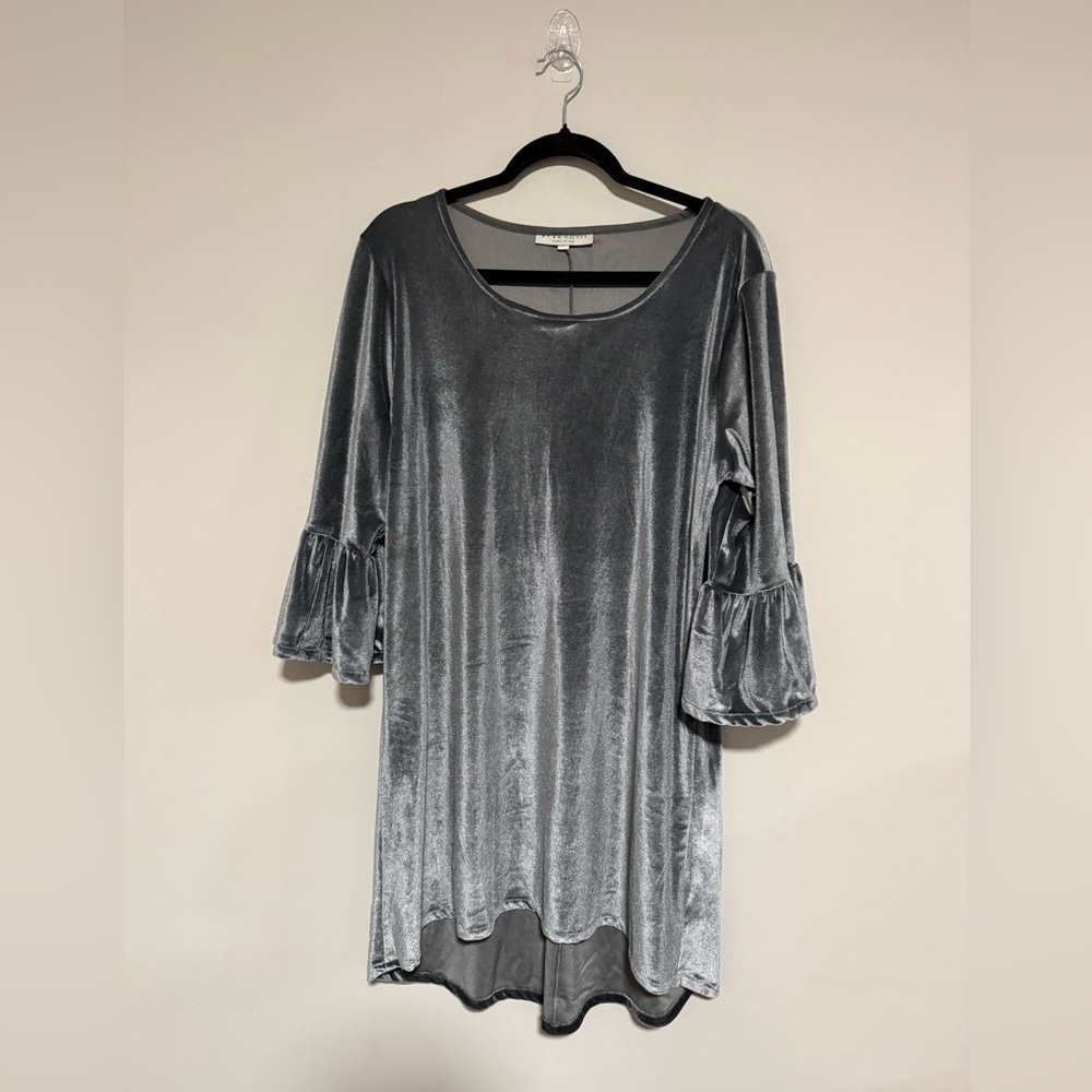 Bryn Walker Silver Velvet Round Neck Mini Dress Tunic Size Small Party Holiday